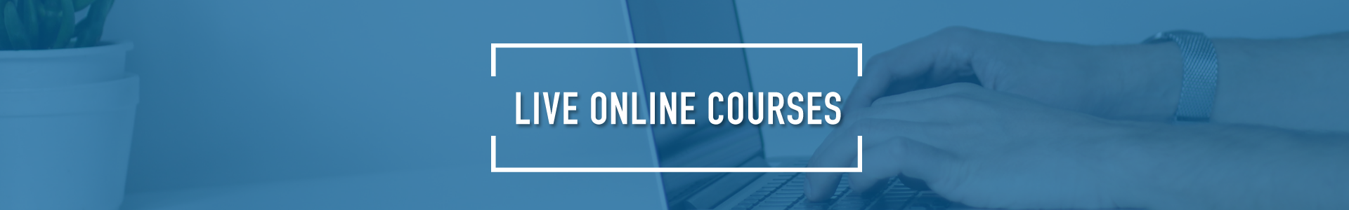 Live online business course